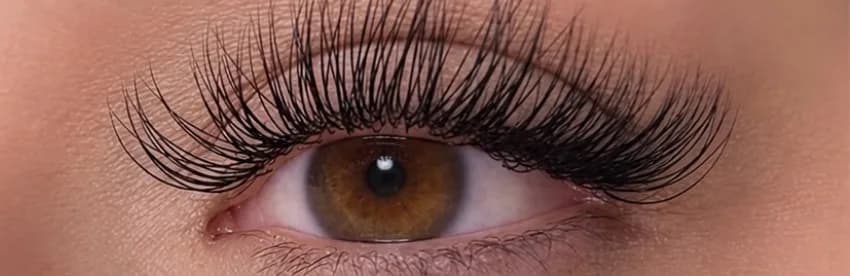 Close-up of a classic lash set on a brown eye: one extension on each natural lash, long and clearly separated